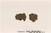 藏品(文字衣科)的圖片